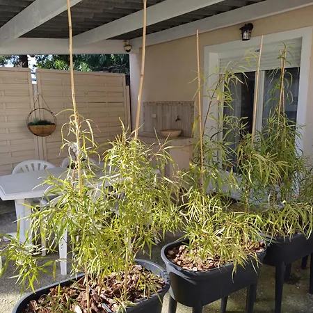 Maisonnette Avec Pergola *