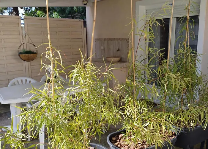 Maisonnette Avec Pergola *