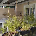 Maisonnette Avec Pergola *